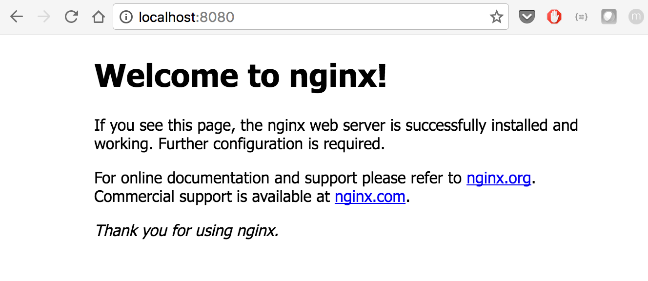 Nginx Output
